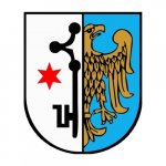 Logo Firmy